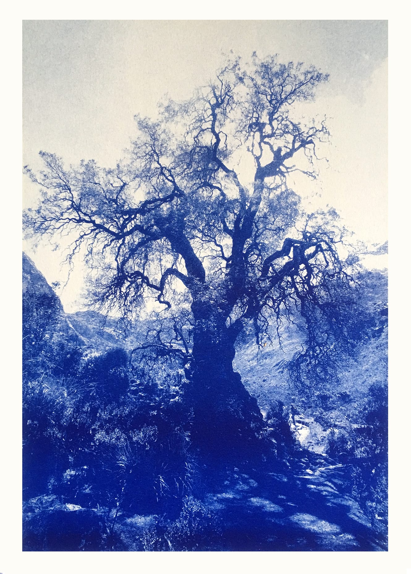 Art Print Tree